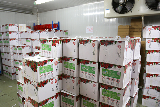 红原医药冷库成本的计算方法