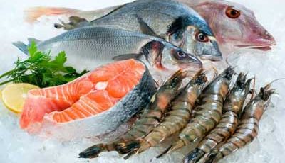 金川水产品冷冻库